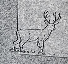 White-tailed deer etching on polished granite memorial